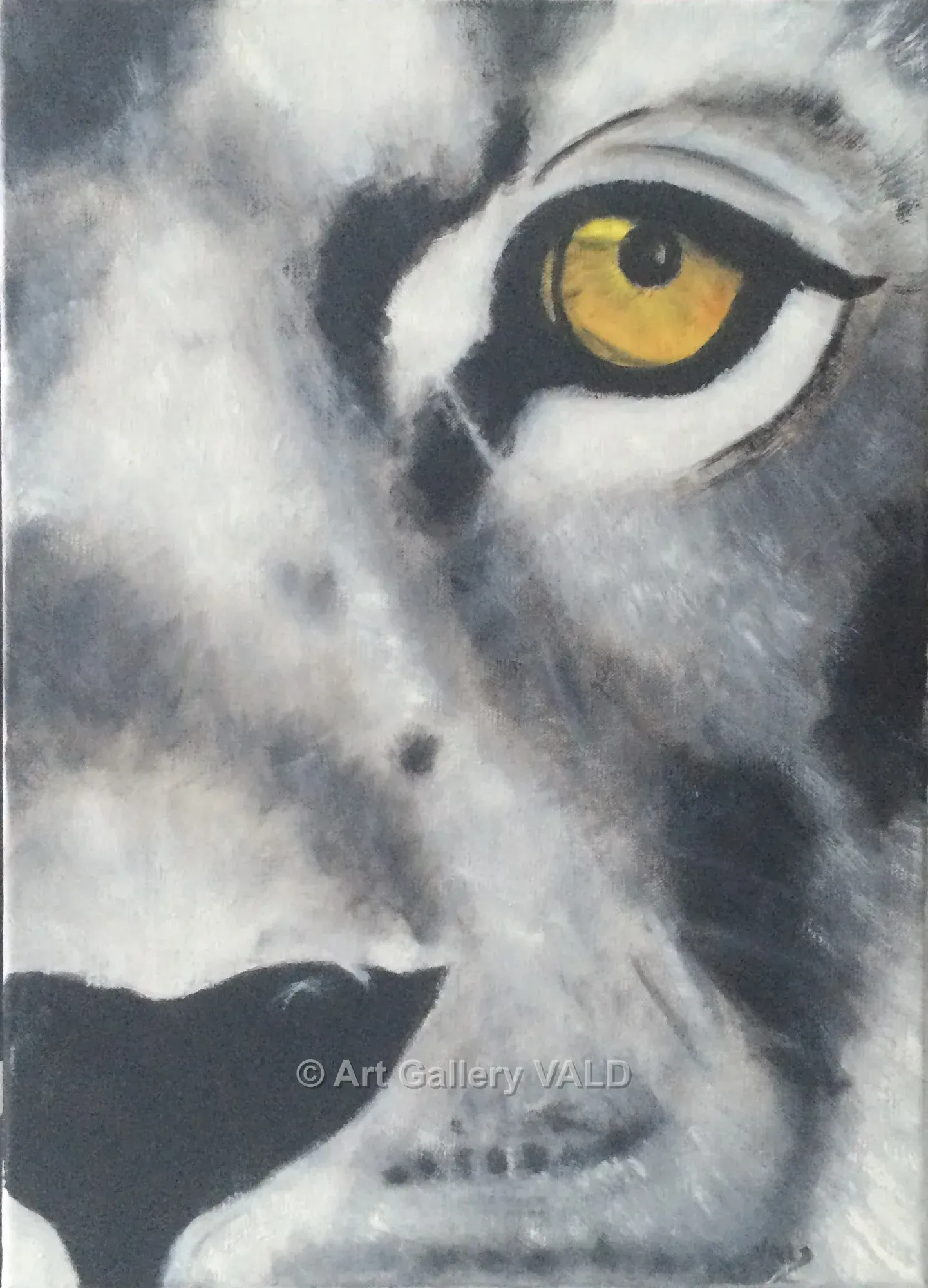 L'or du regard